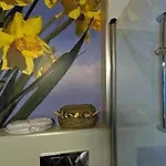 Hotel Ellauri - Adults Only 2*