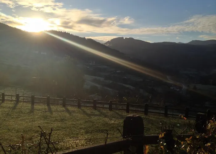 Ellauri - Adults Only