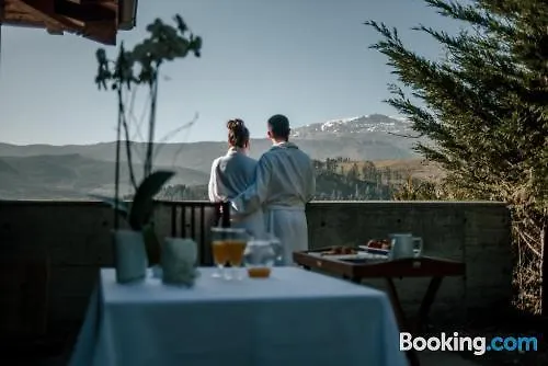 Ellauri - Adults Only 2*