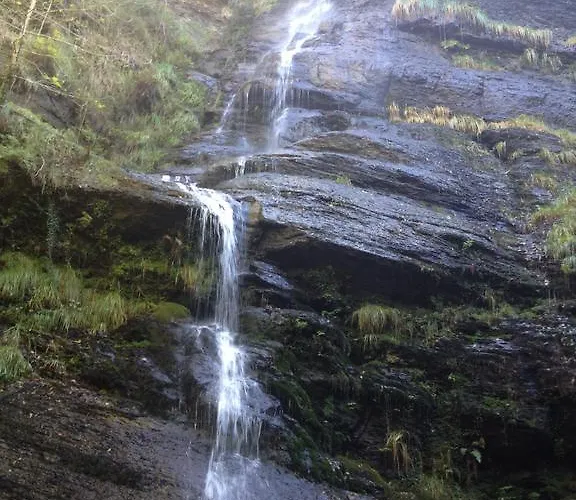 Hotel Ellauri - Adults Only