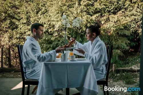 Ellauri - Adults Only 2*